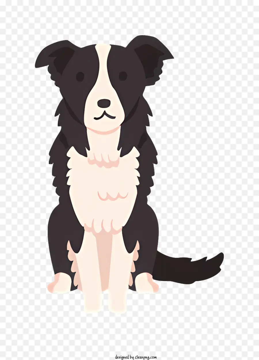 Collie Perro，En Blanco Y Negro De La Capa PNG