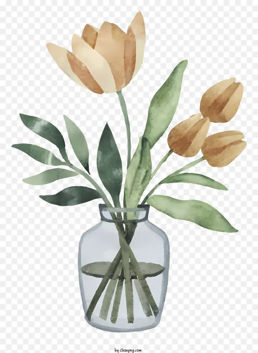 Dibujos Animados，Tulipanes PNG