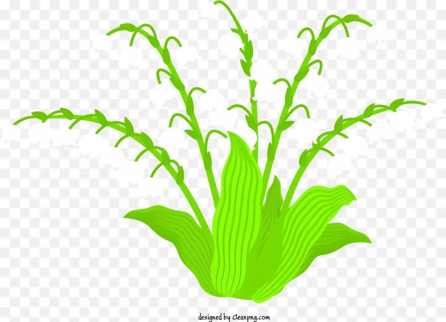 El Crecimiento De La Planta，Mundo Natural PNG