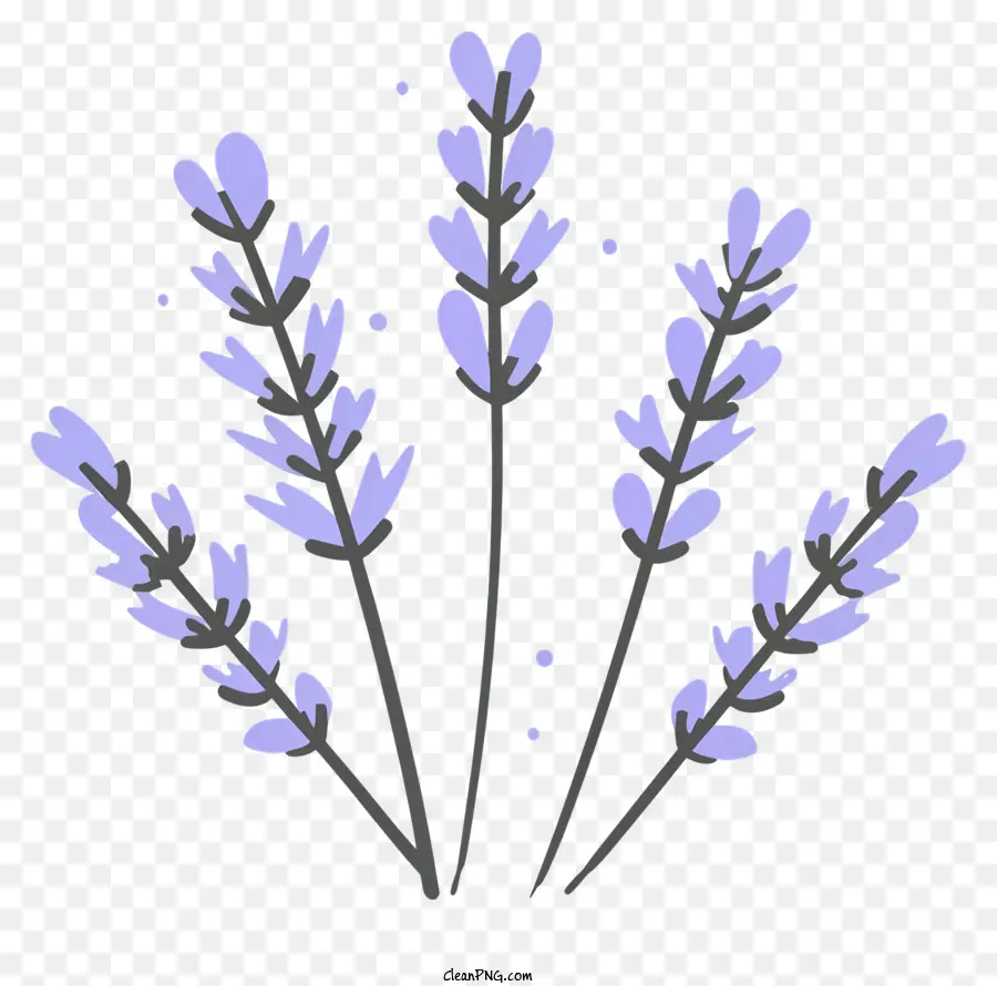 La Historieta，Las Flores De Lavanda PNG