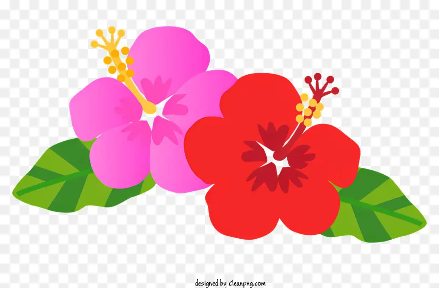 Icono，Flores Coloridas PNG