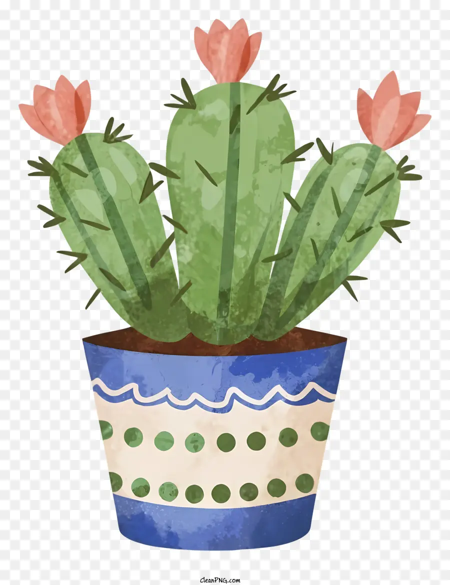 La Historieta，Planta De Cactus PNG