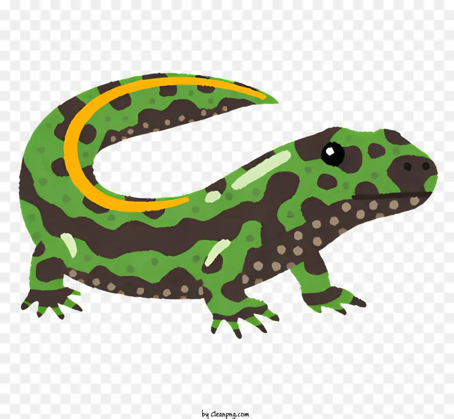 Naturaleza，Lagarto PNG