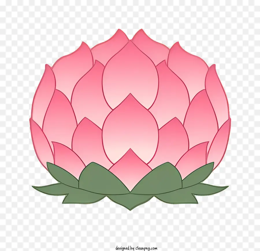 Bodhi Día，Flor De Loto Rosa PNG
