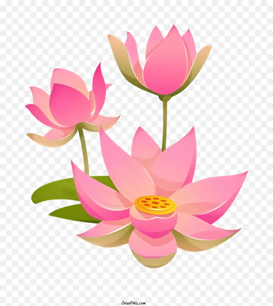 Bodhi Día，Flores De Loto Rosa PNG