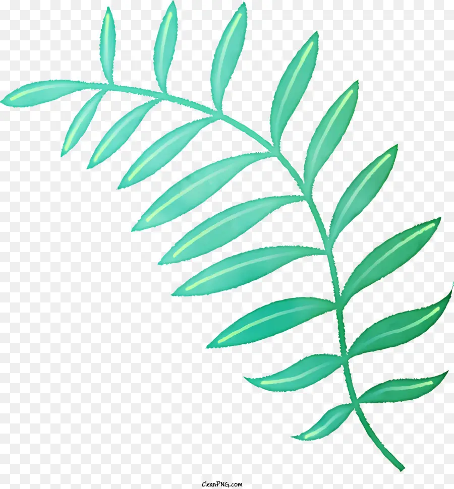 Icono，Hoja Verde PNG