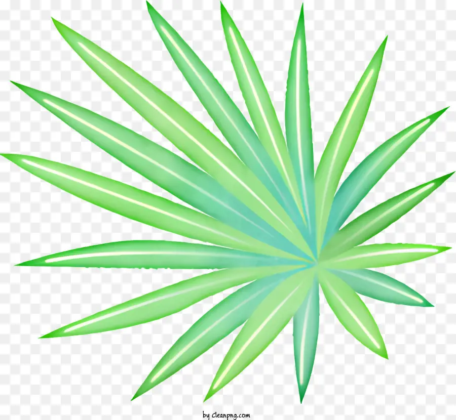 Hoja，Planta PNG