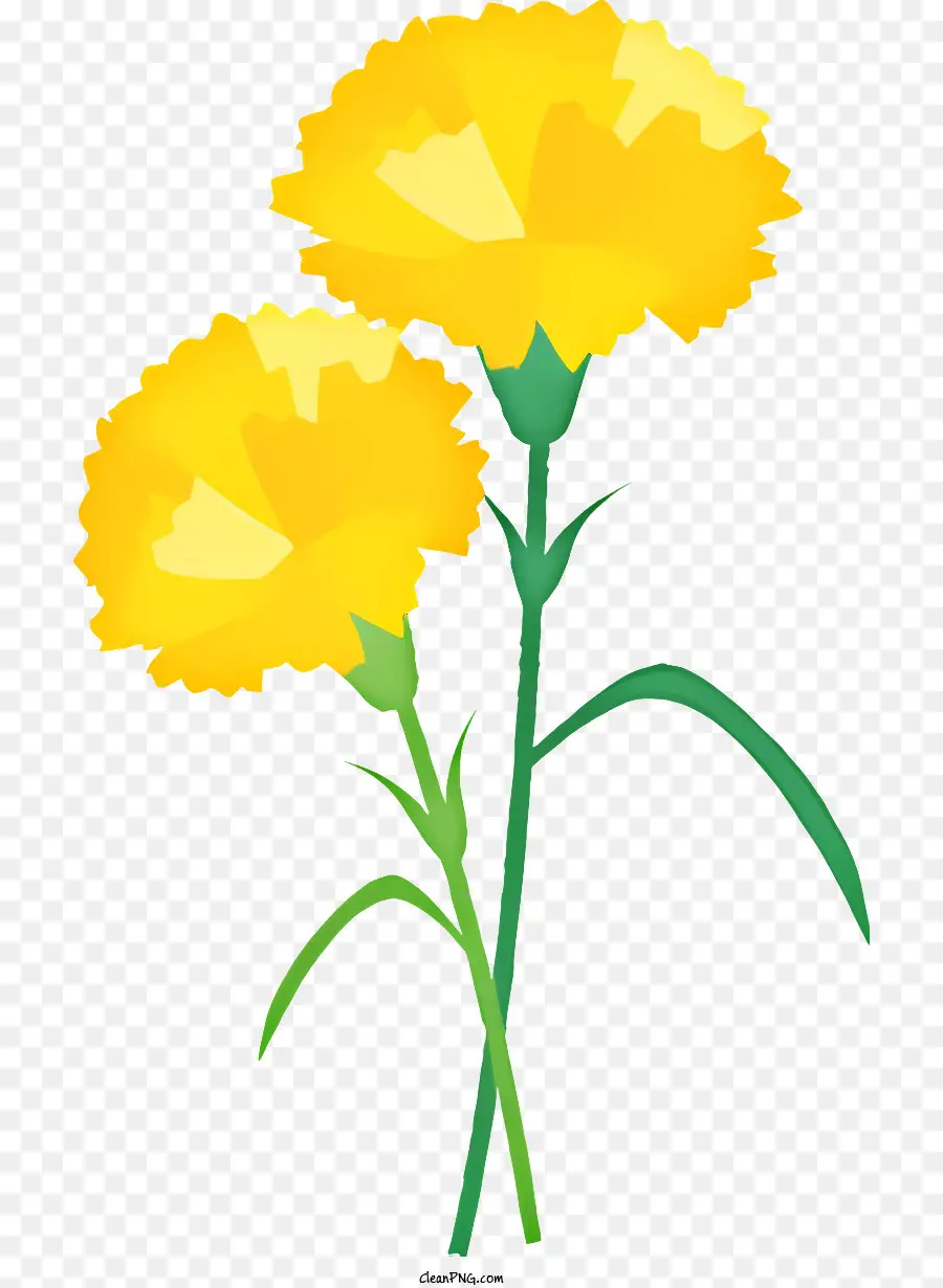 Flor Amarilla，Simple Flor PNG