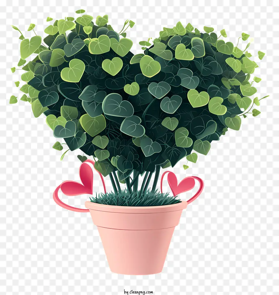 Planta De San Valentín，Planta En Maceta PNG