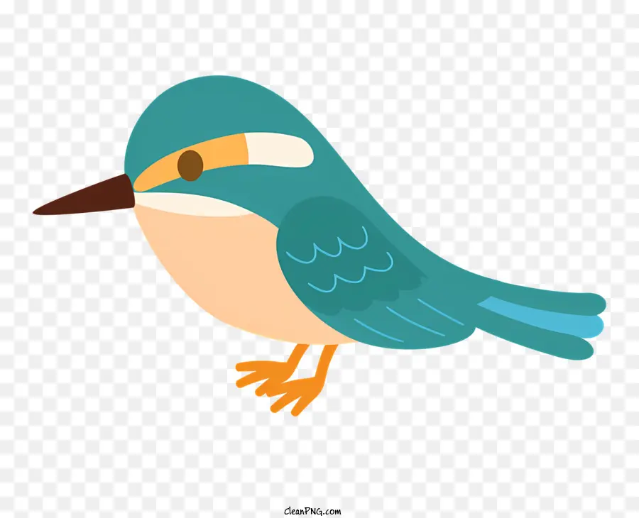 Pájaro Pequeño，Cuerpo Azul PNG