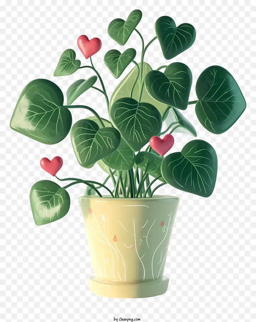 Planta De Amor，Pequeña Planta En Maceta PNG