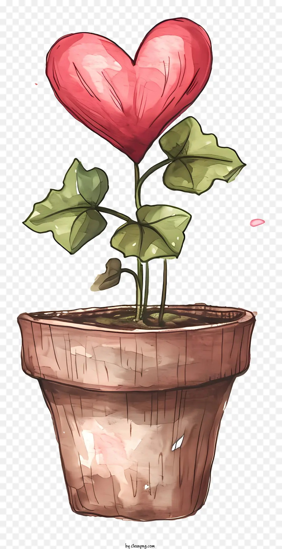 Planta De San Valentín Dibujada A Mano，Planta En Maceta PNG