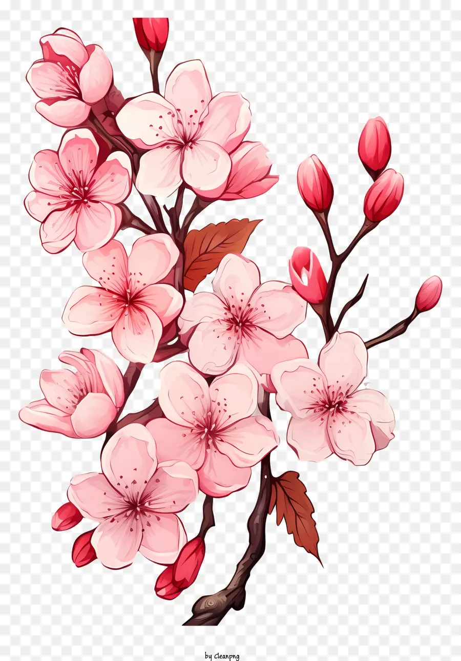 Blossom De Rama De Cerezo De Estilo Doodle，Flores De Cerezo PNG