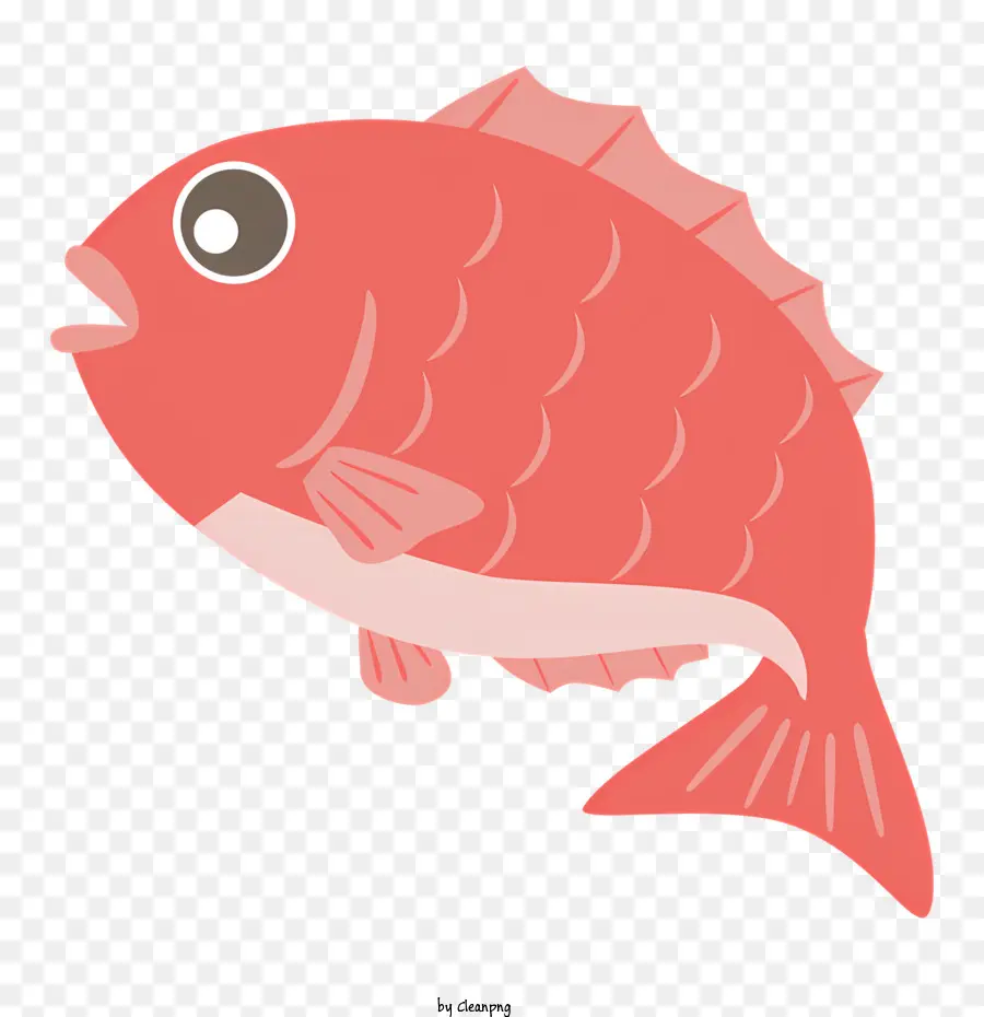 Los Peces，Pez Rojo PNG