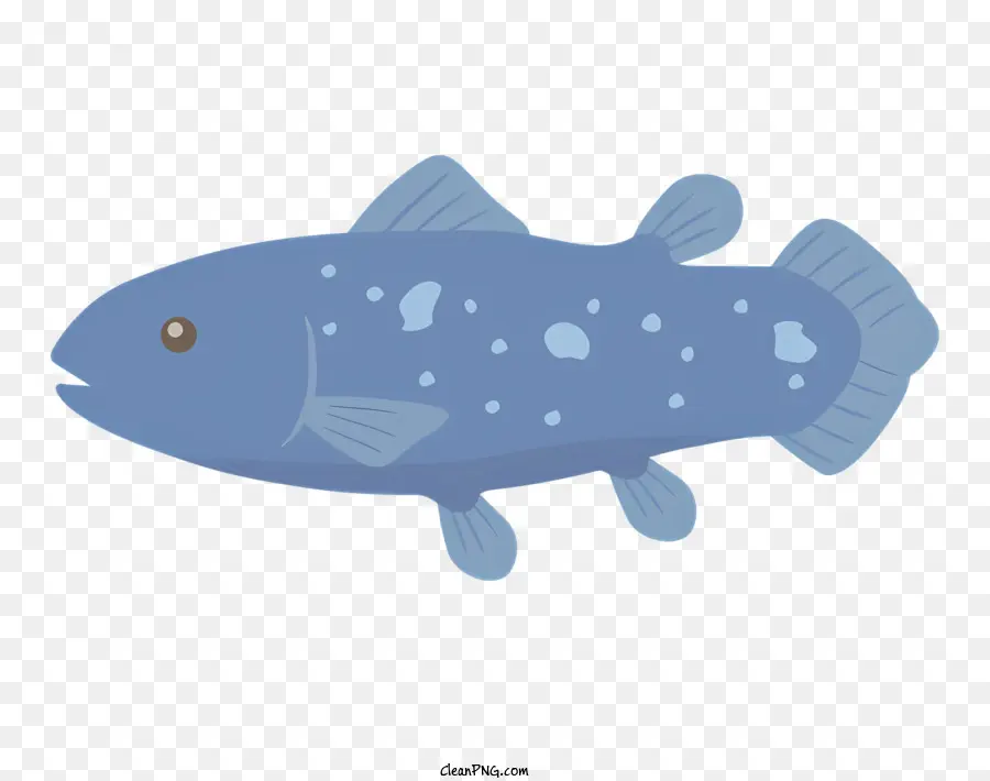 Los Peces，De Los Animales Acuáticos PNG