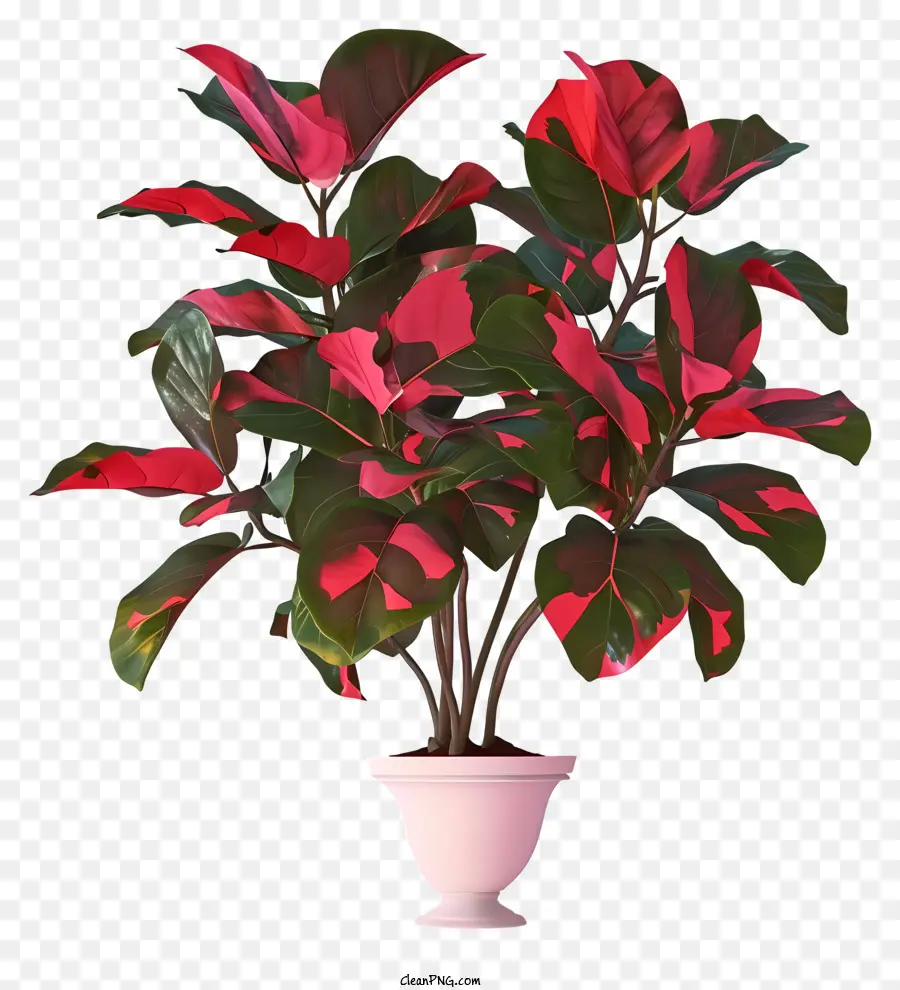 Planta De San Valentín 3d Realista，Render 3d PNG