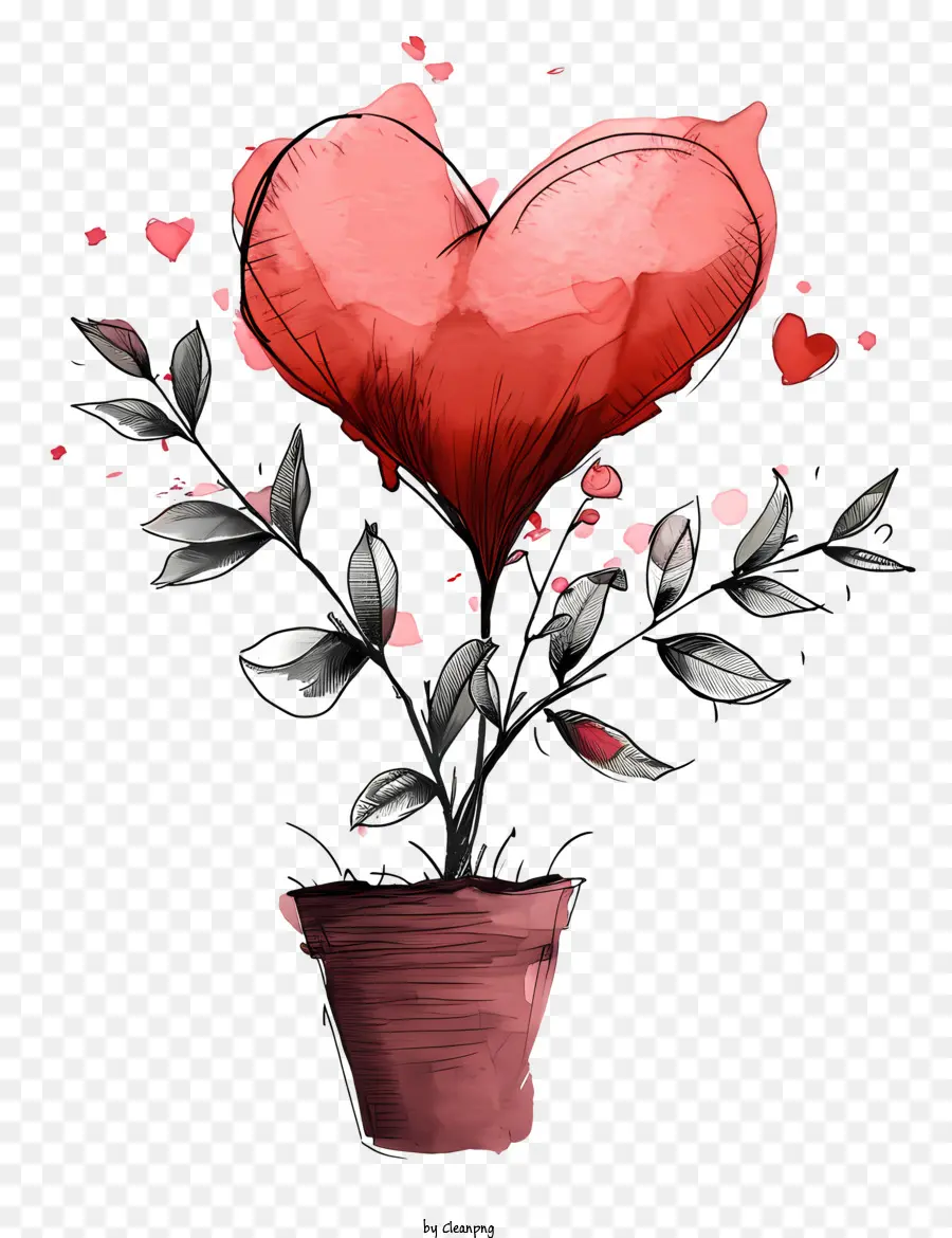 Planta De San Valentin Dibujada A Mano，Planta De Corazón PNG