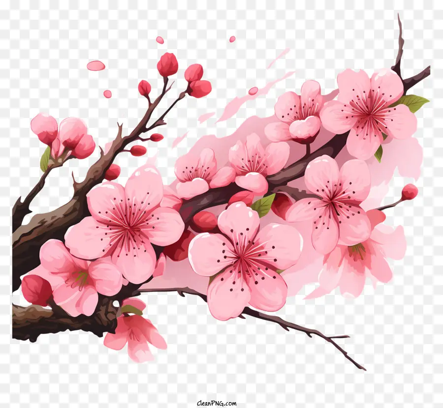 Ramas Y Flores De Sakura，Rama De árbol PNG