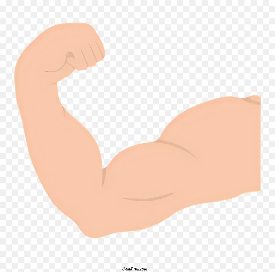 La Masa Muscular，Strength PNG