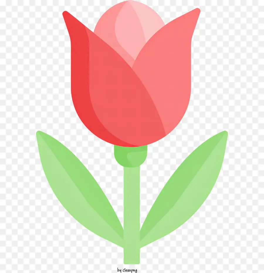 La Primavera，Tulipa Roja PNG