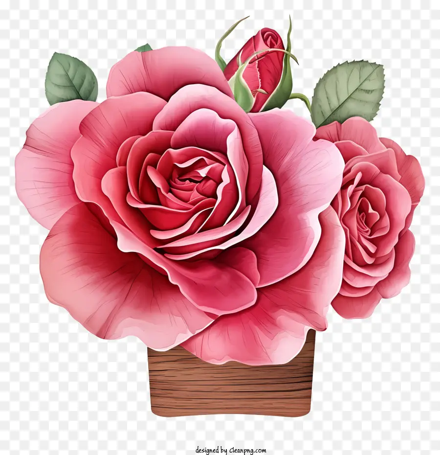 Arte Floral De Valentine Rose，Rosas De Color Rosa PNG
