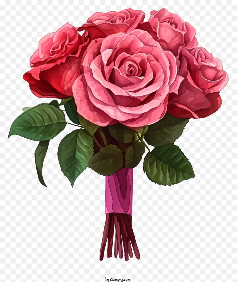 Rosa De San Valentín Acuarela，Rosas PNG