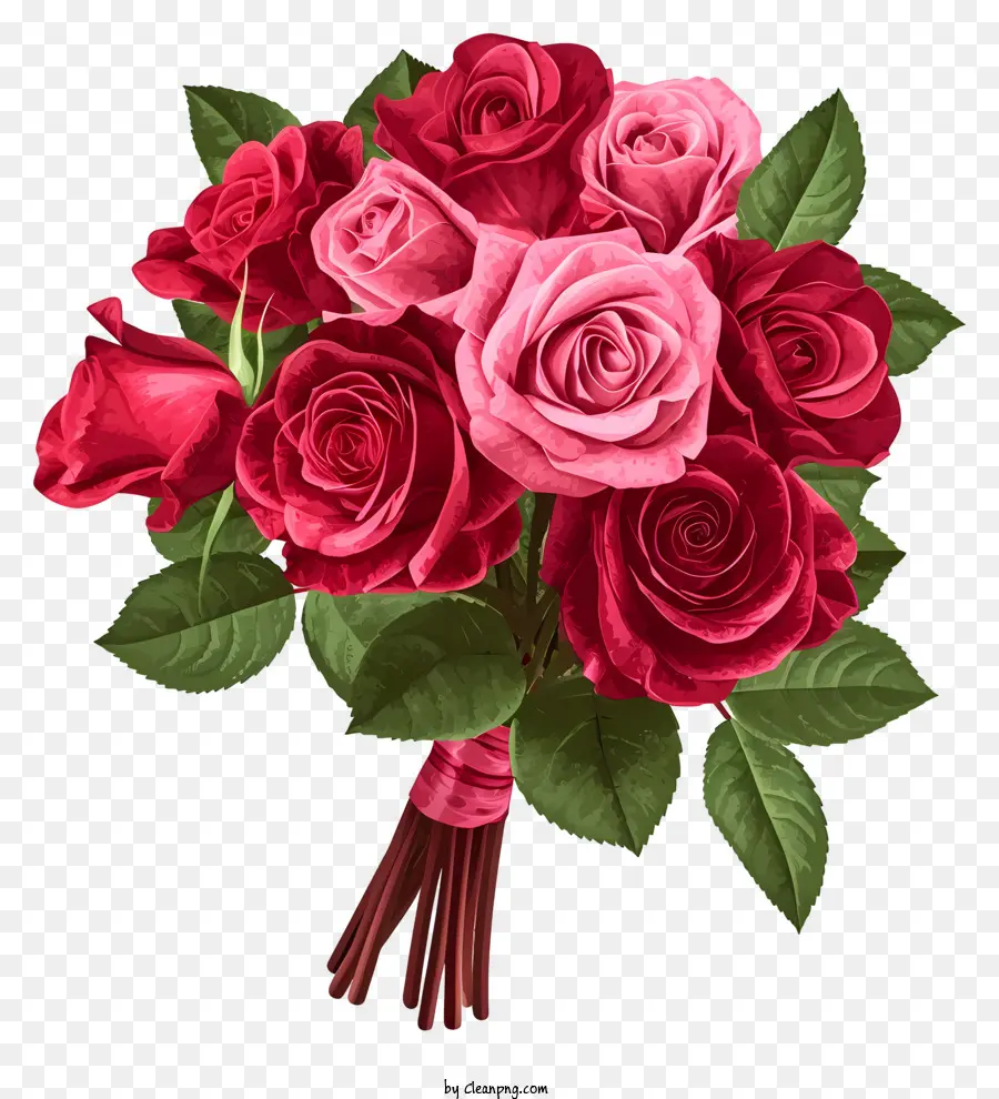 Valentine Rose Bunch Ilustrate，Rosas De Color Rosa PNG