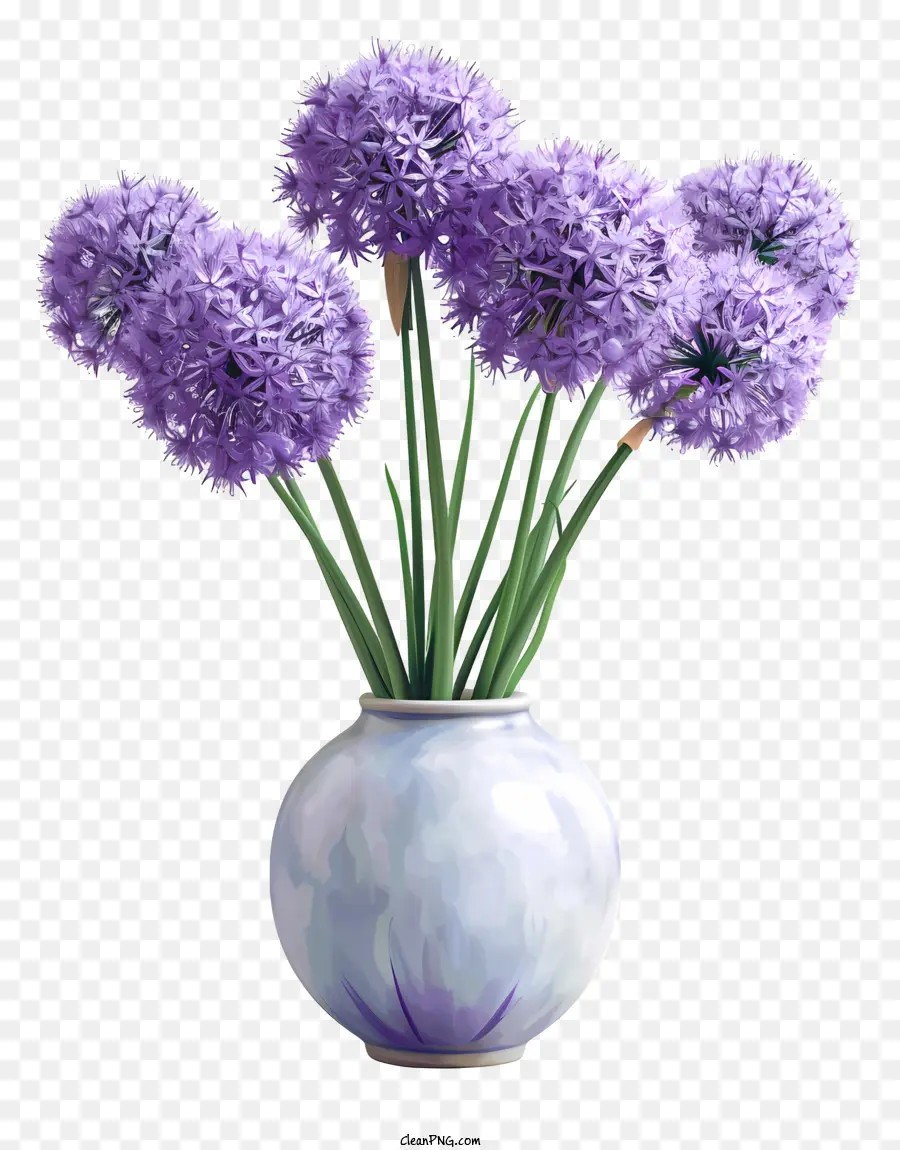 Allium Giganteum，Flores De Color Púrpura PNG