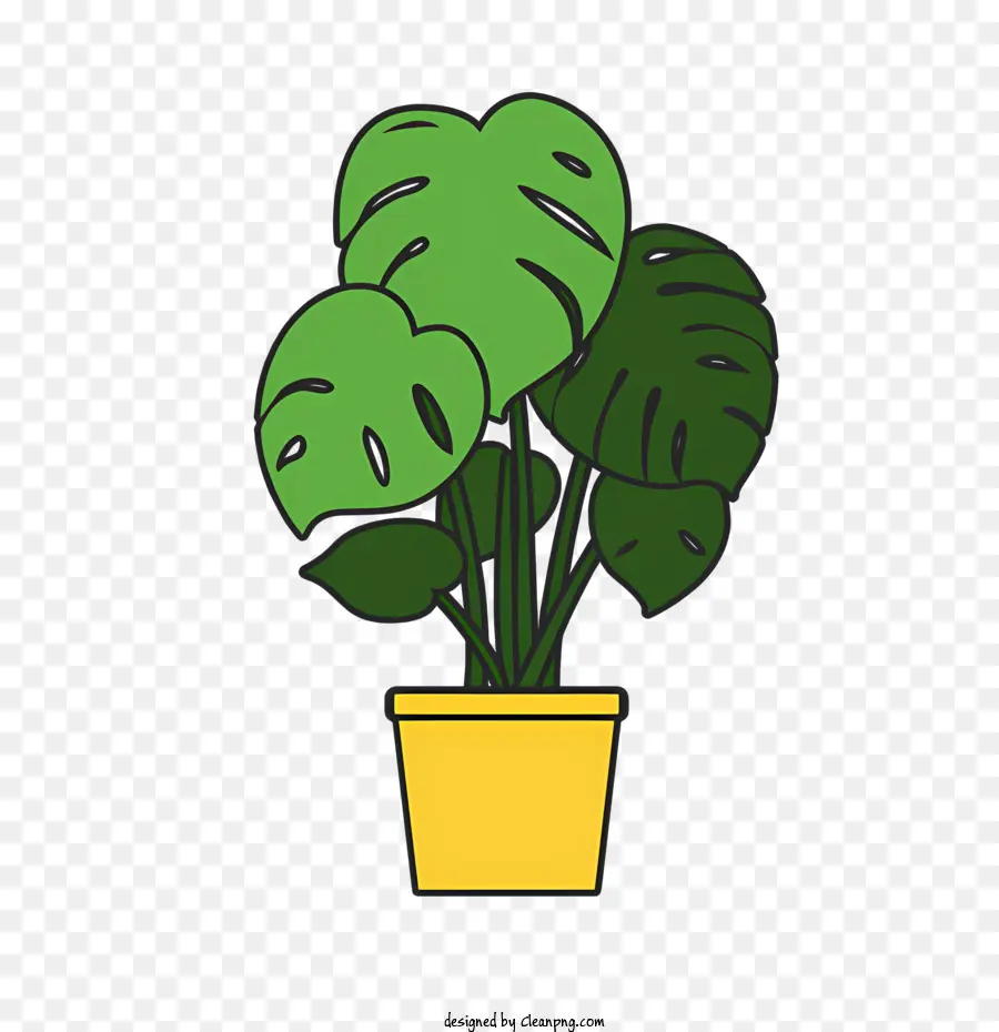 Planta En Maceta，Hojas Verdes PNG