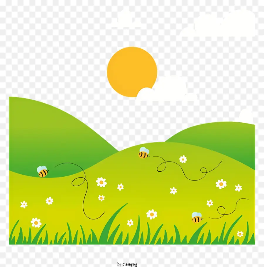 La Primavera De Campo，Campo PNG