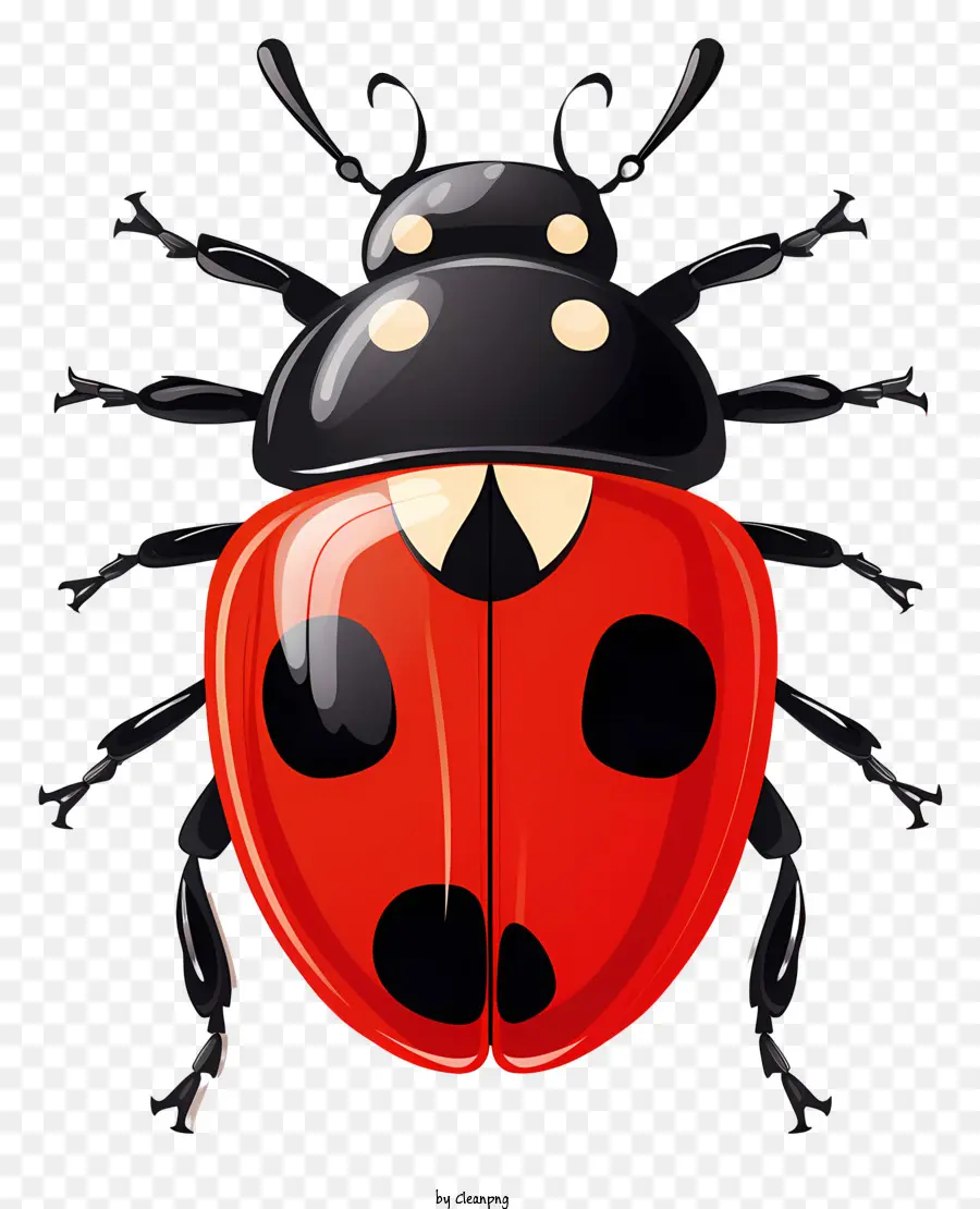 Doodle Style Ladybug，Ladybug PNG