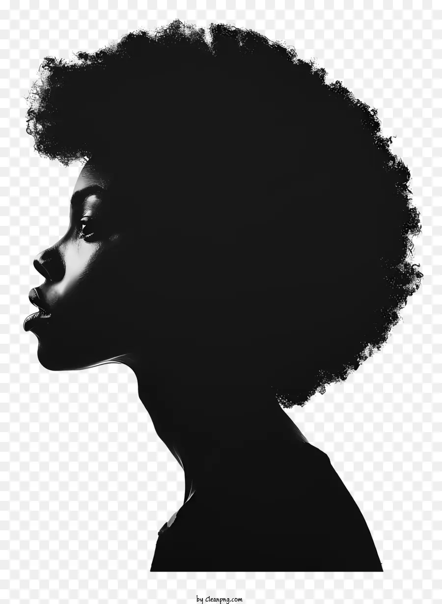 Mes De La Historia Negra，Peinado Afro PNG