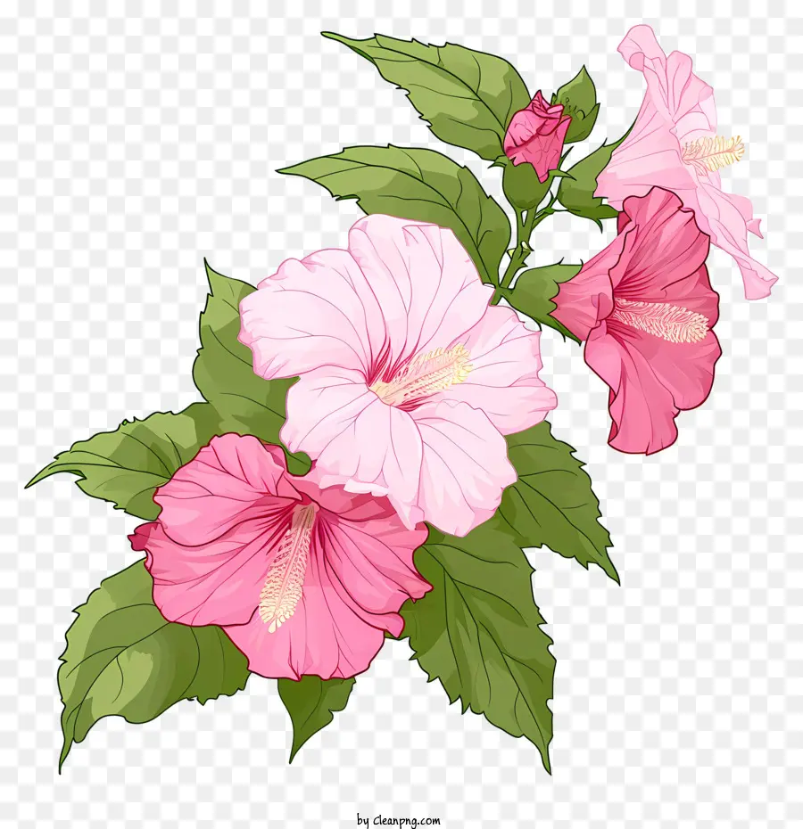 Estilo Isométrico，La Rosa De Sarón PNG