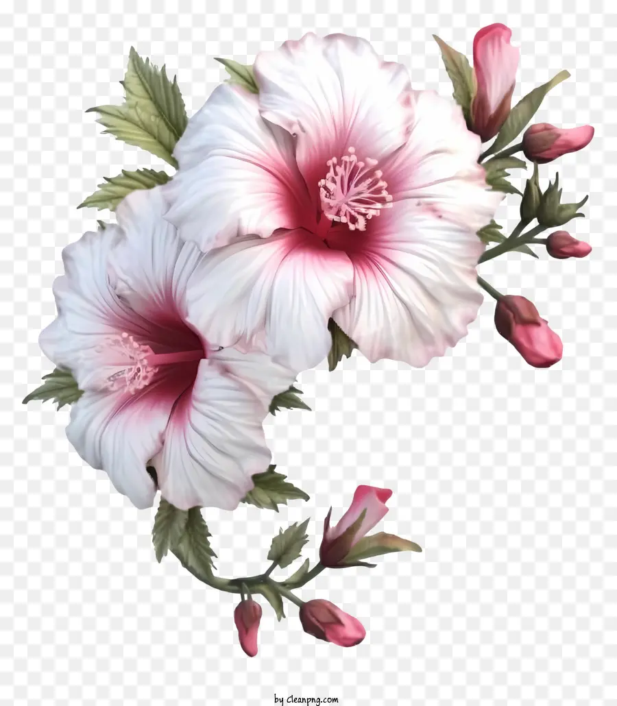 Realista 3d Rosa De Sharon，Hibisco PNG