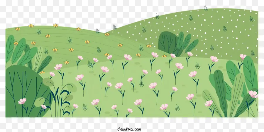 La Primavera De Campo，Campo PNG