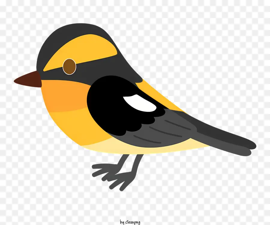 Pájaro Pequeño，Pico Negro PNG