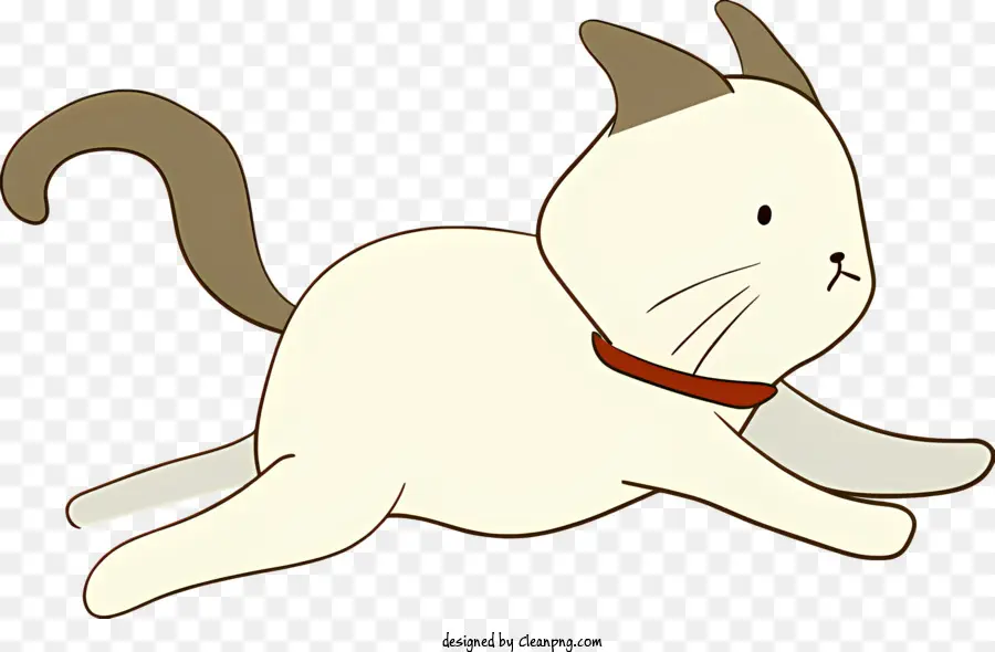 Gato Blanco，Tirado En El Suelo PNG