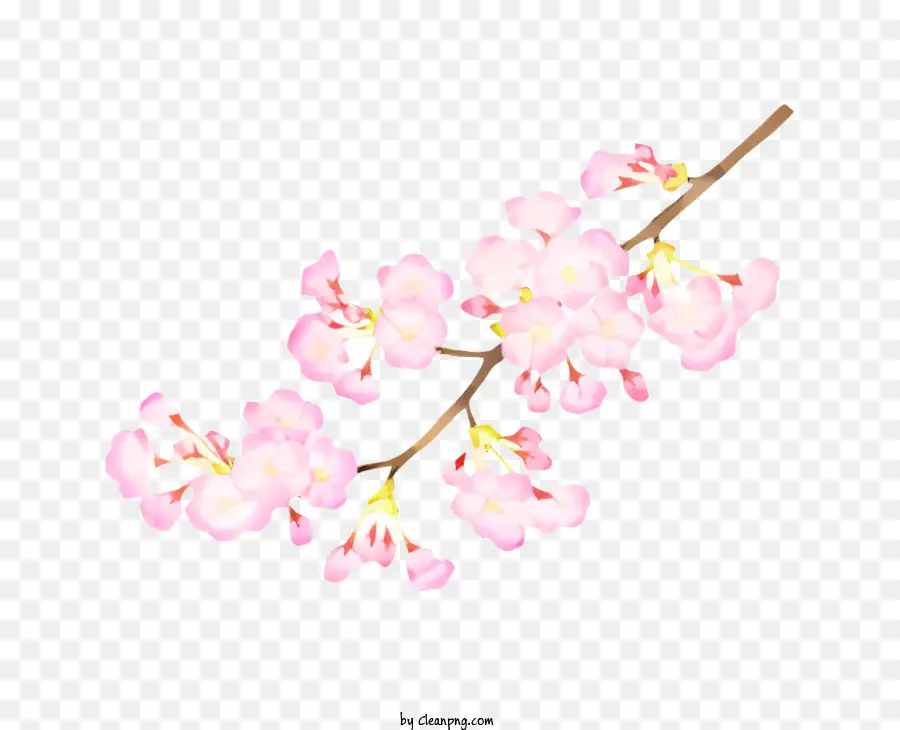 Flor，Flores De Cerezo PNG