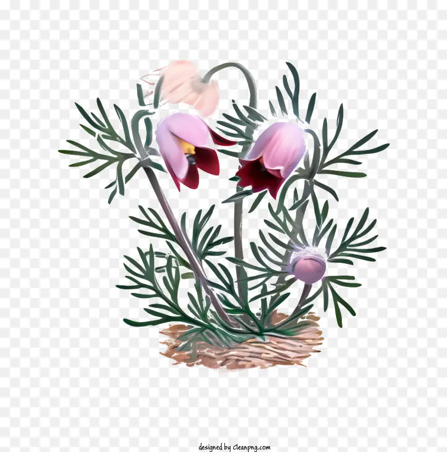 Flor，Florero PNG