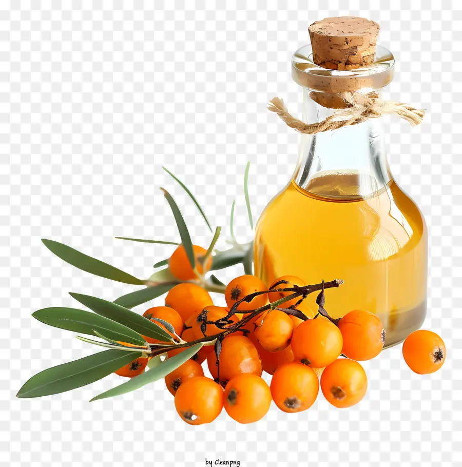 Aceite Seabuckthorn，Aceite Claro PNG