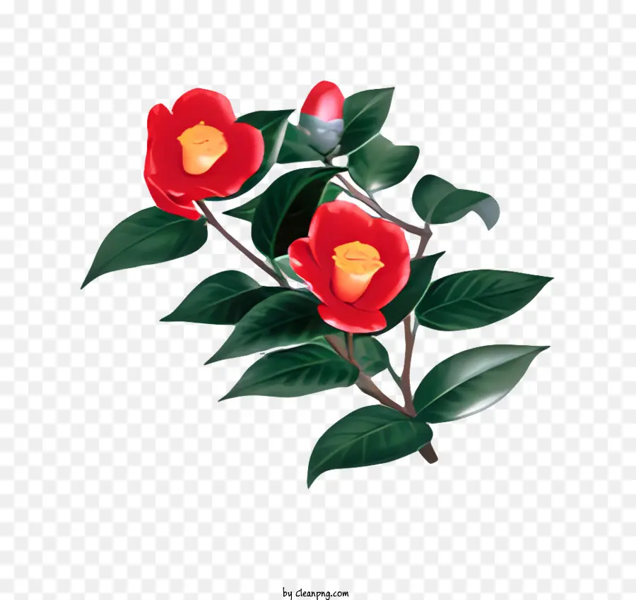 Flor，Rama PNG