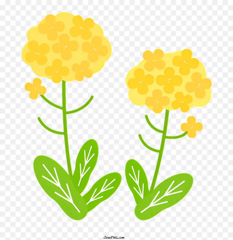 La Primavera，Flores Amarillas PNG