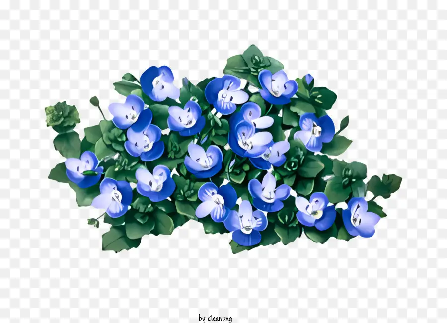 Flor，Flores Azules PNG