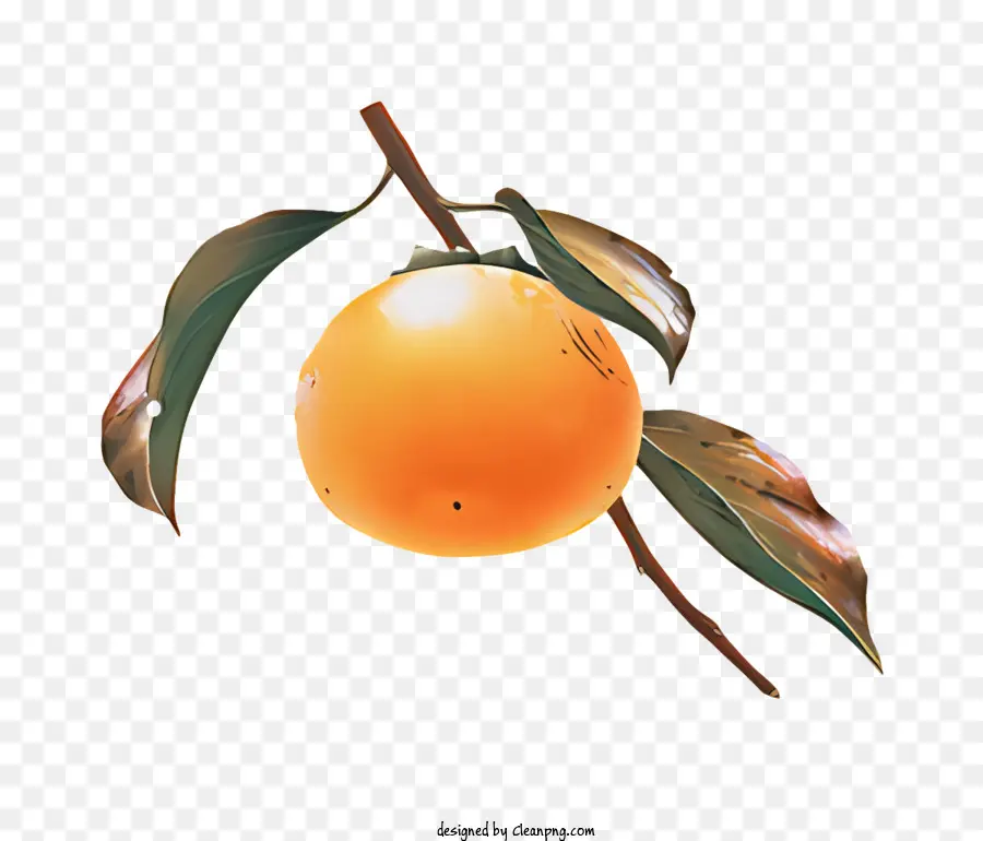 Fruta，Fruta Naranja PNG