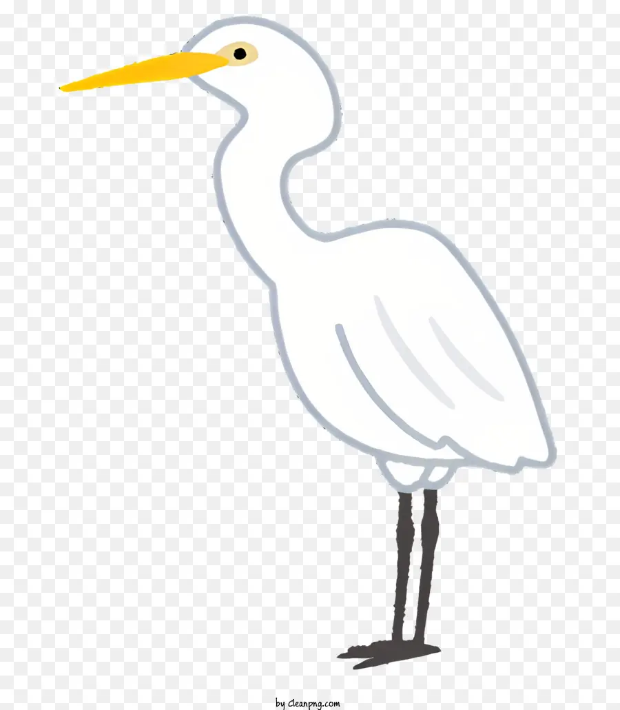 Aves，Pájaro Blanco PNG