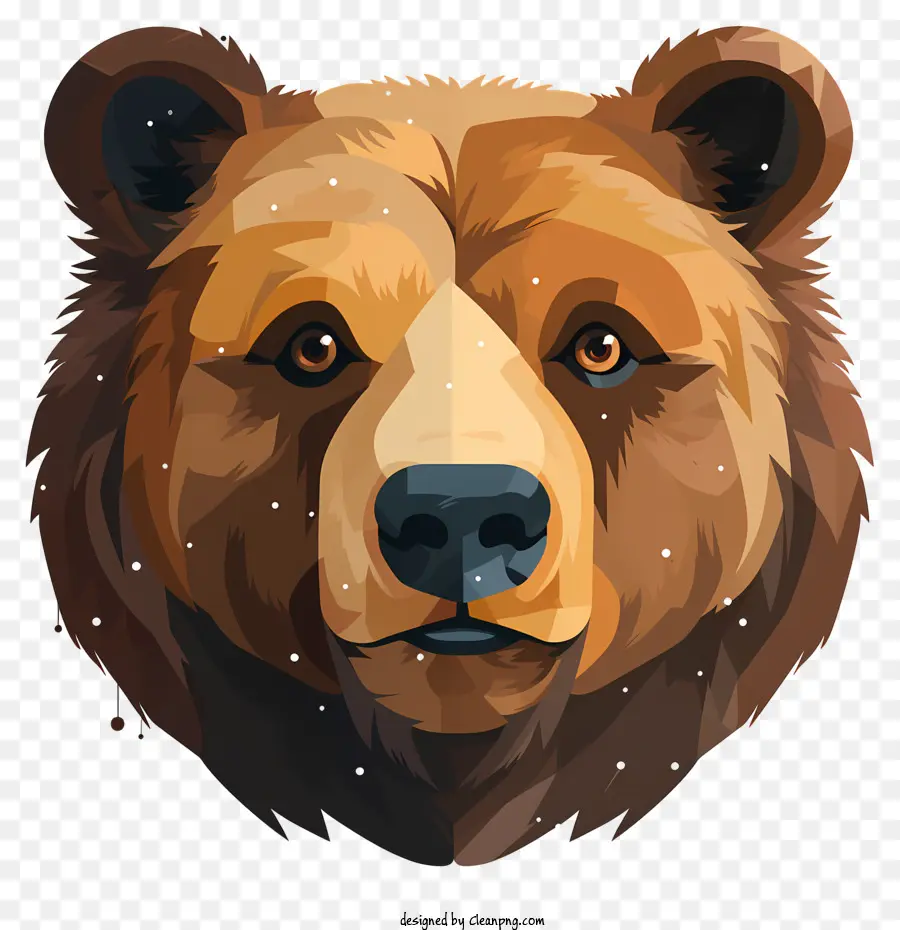 Retrato De Oso，Oso Pardo PNG