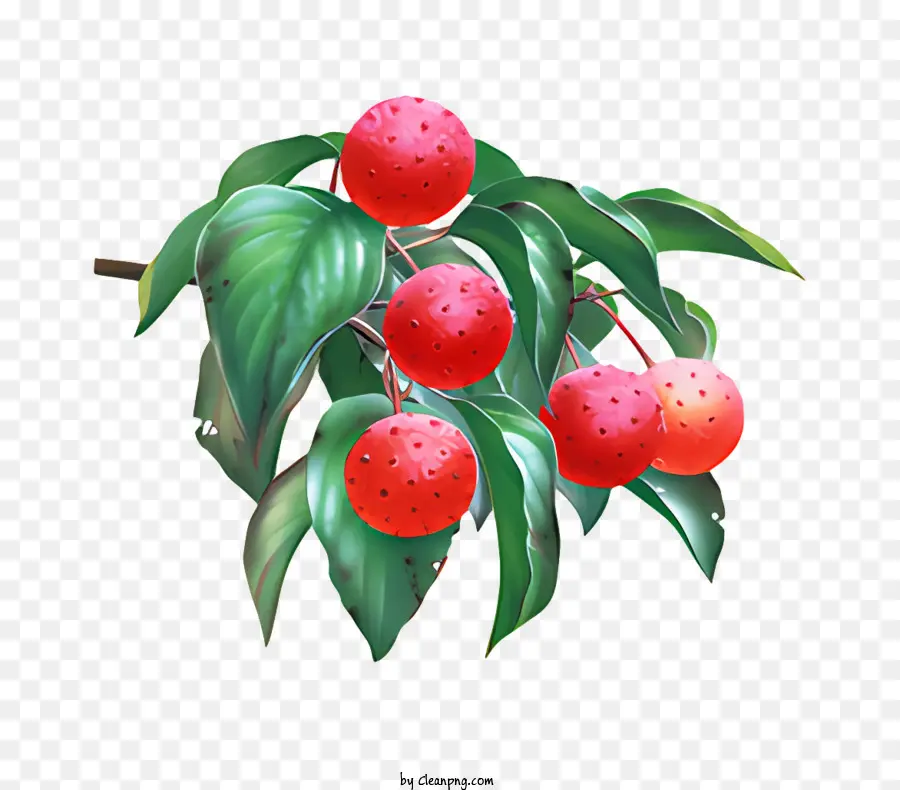 La Fruta，Fruta Roja PNG