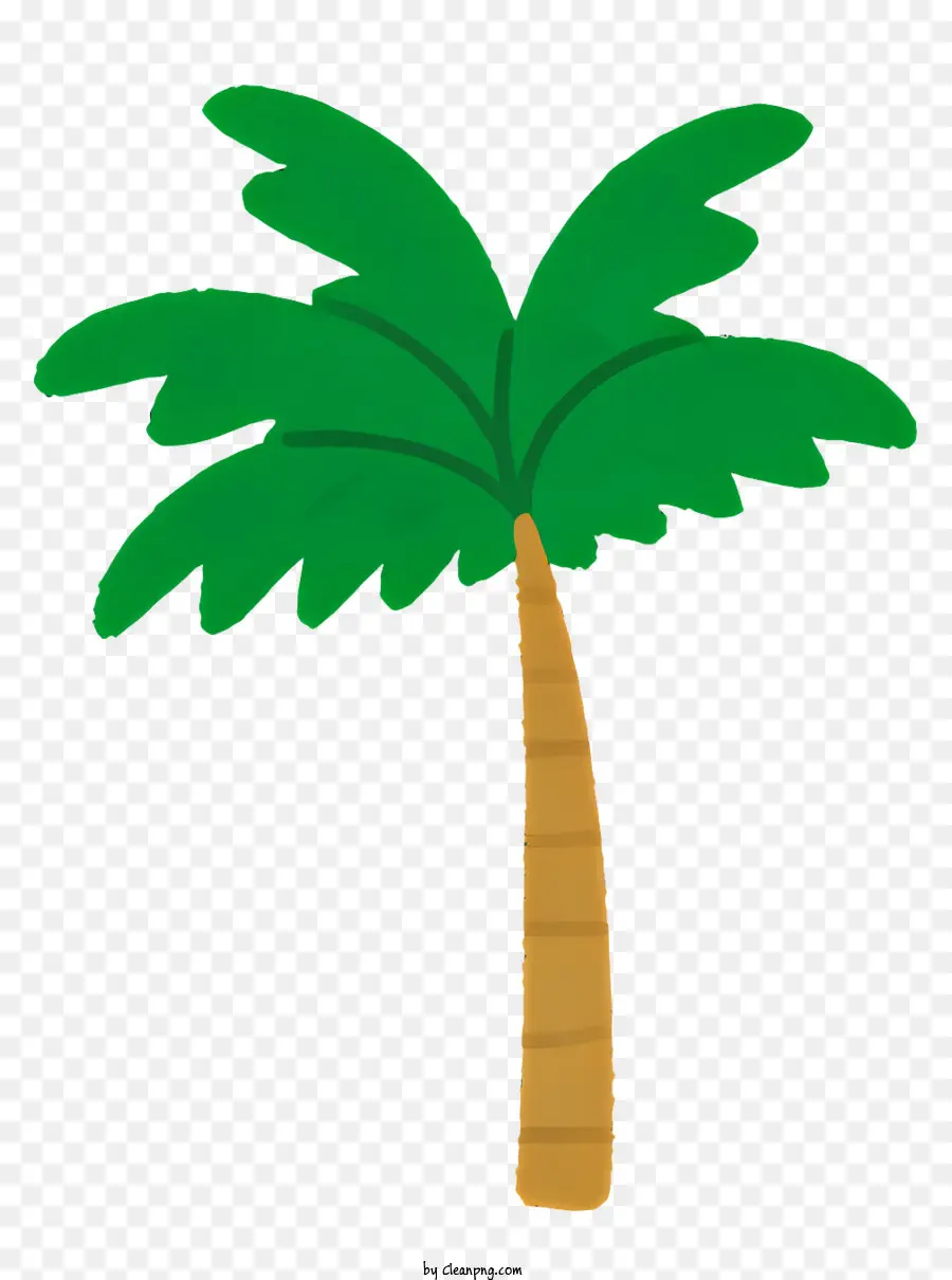 Palmera，Coco PNG