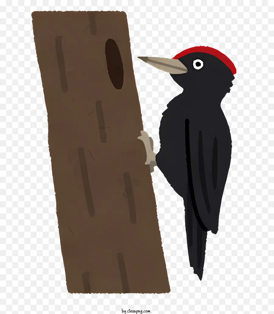 Pájaro，Pájaro Carpintero PNG