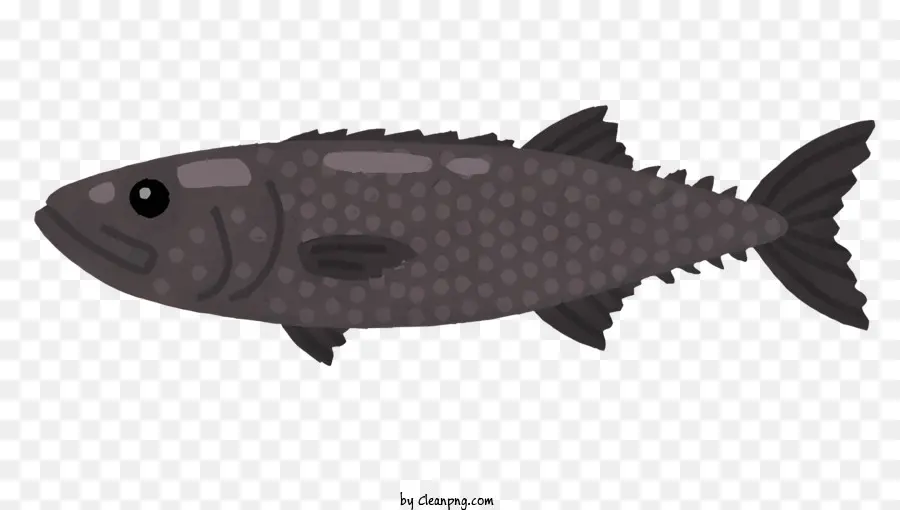 Los Peces，De Los Animales Acuáticos PNG